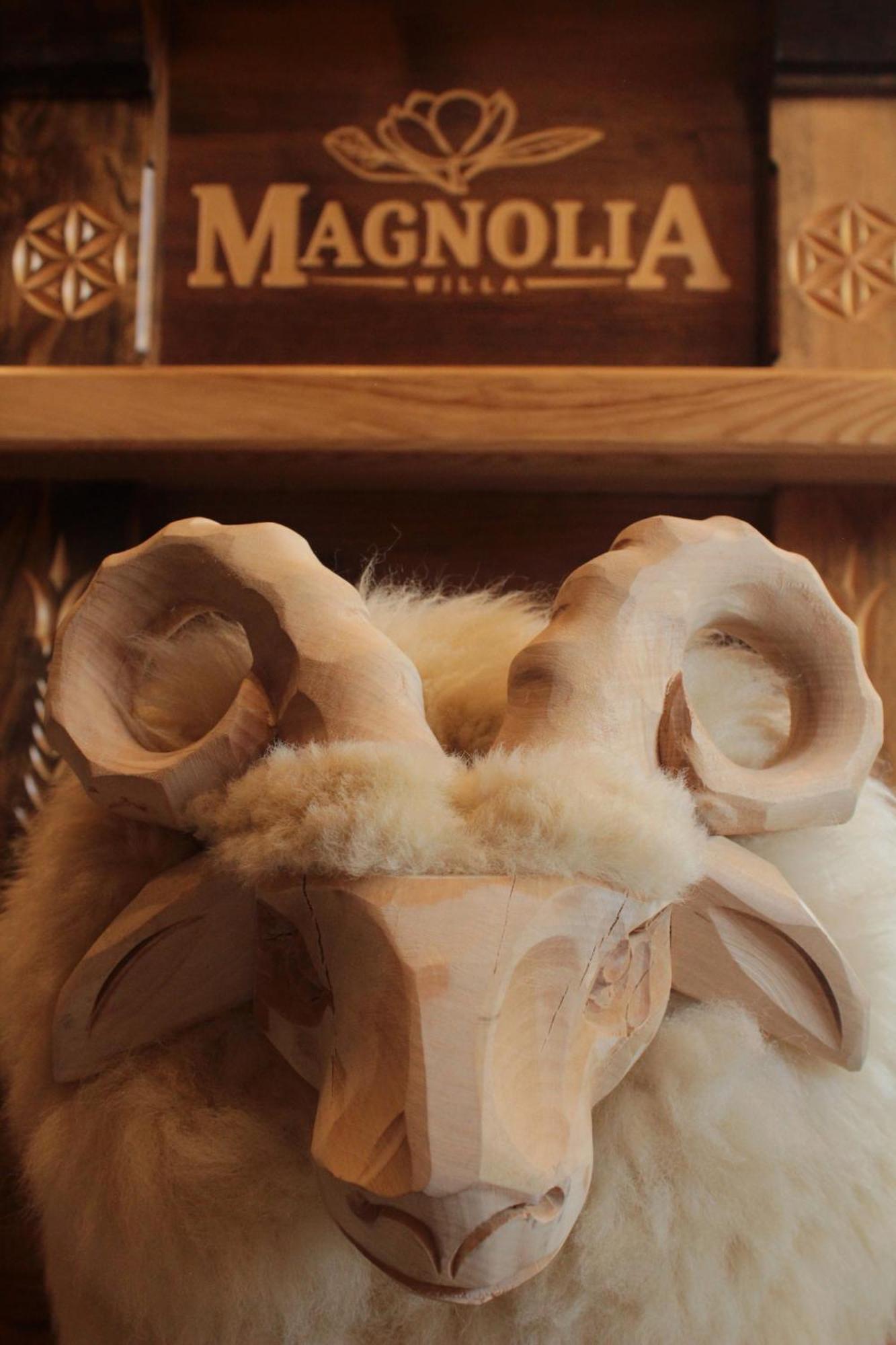 דירות זקופאנה Magnolia מראה חיצוני תמונה